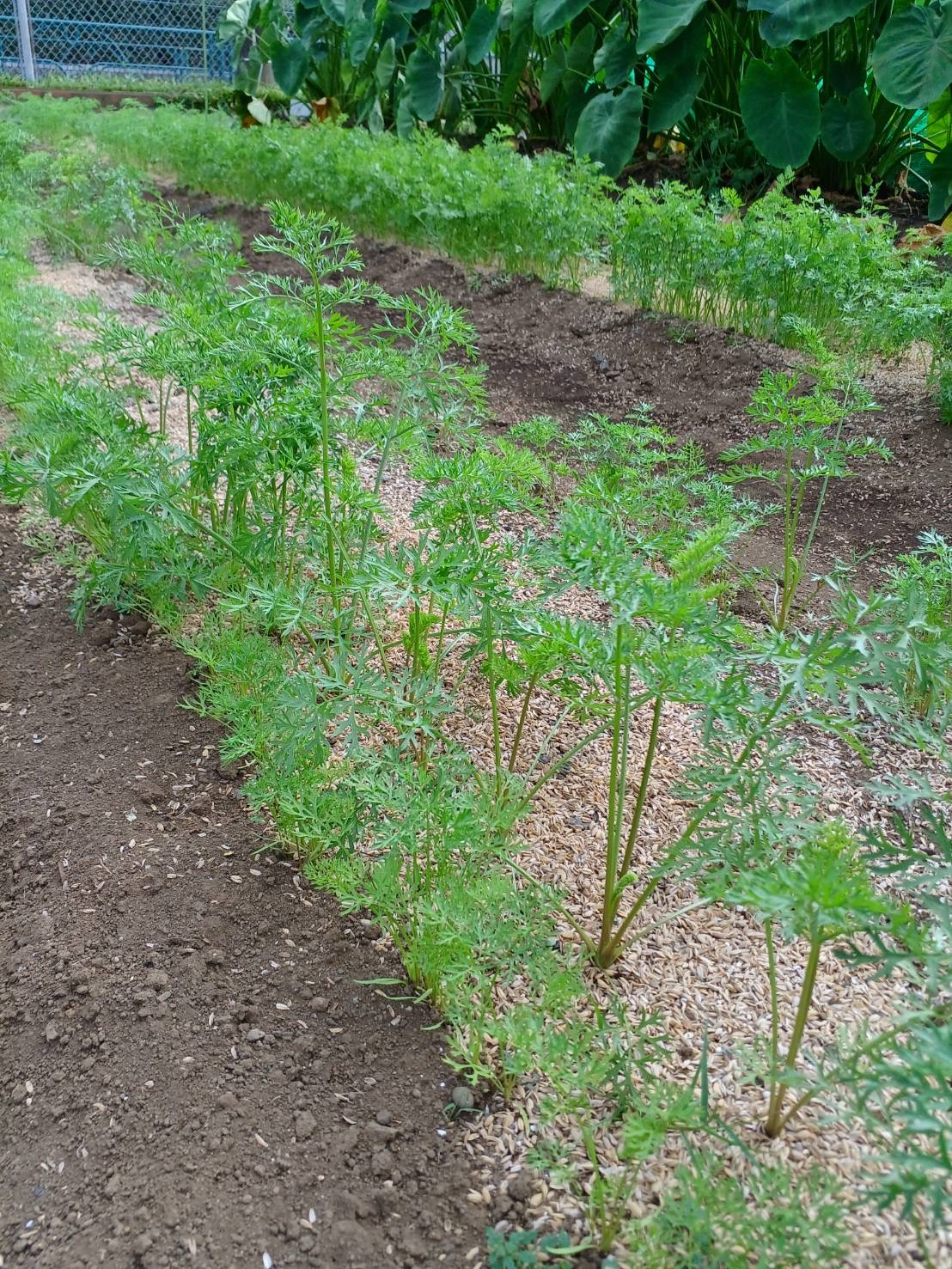 画像 -20240913-122447-c7740e7f